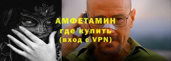 стаф Аркадак