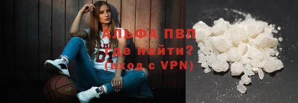 стаф Аркадак