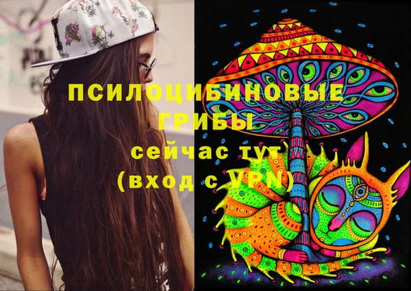 apvp Нея