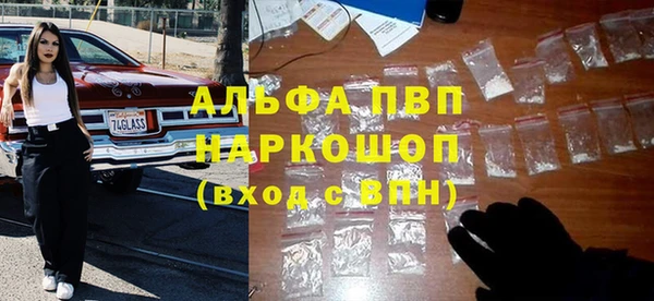 стаф Аркадак