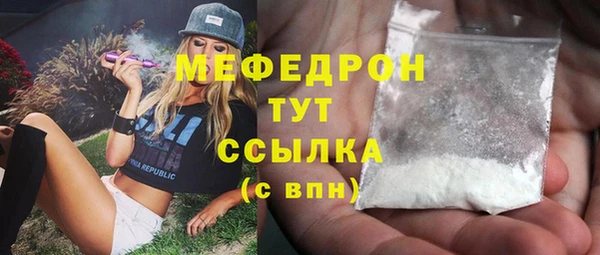 стаф Аркадак